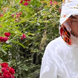 雷电将军🈲️🔞黄网站
